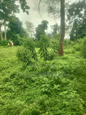 0.04 Ha in Ogango Near Star Hospital