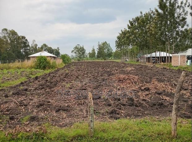 Land for Sell - thumbnail 2