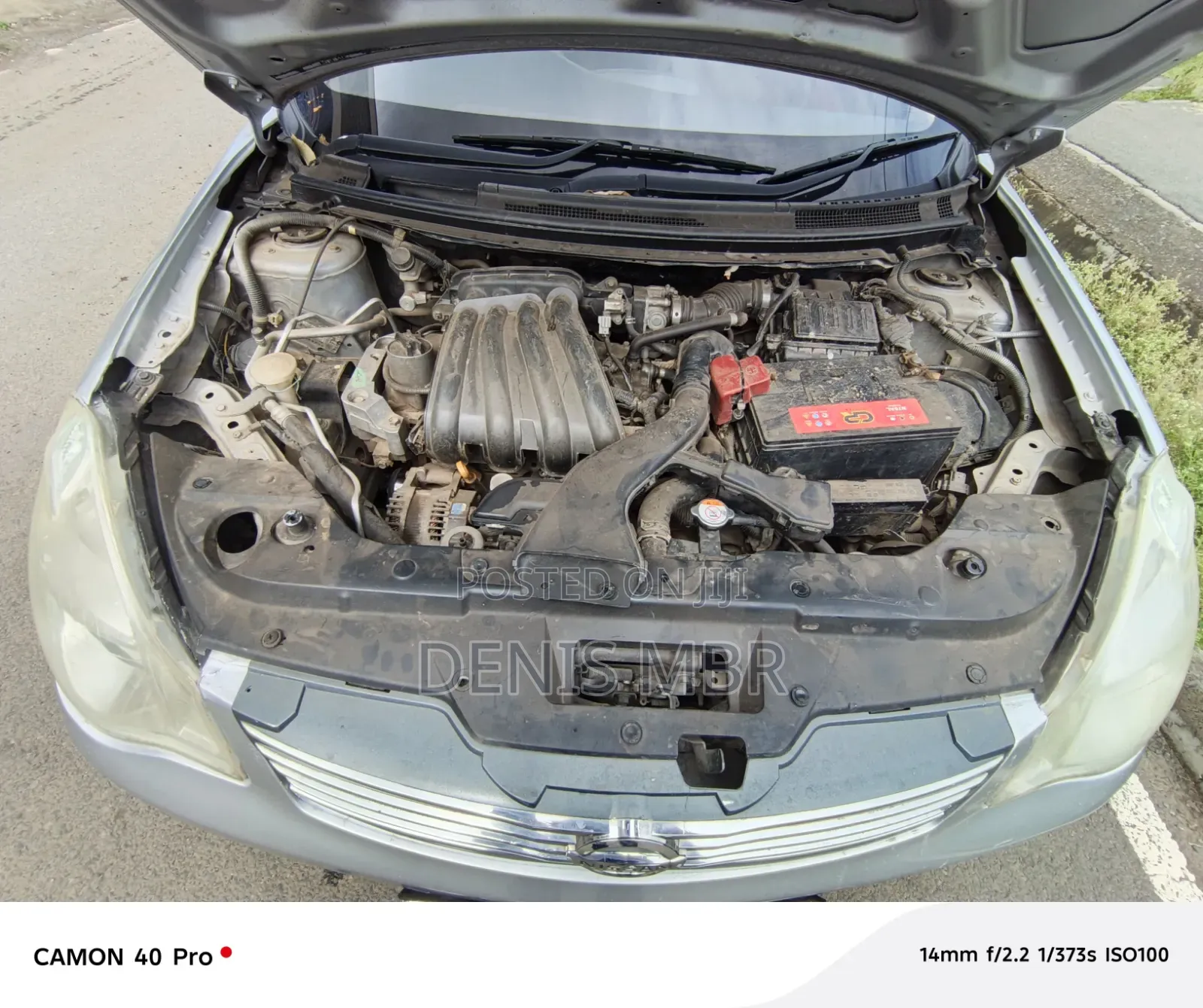Nissan Sylphy 2010 Gray