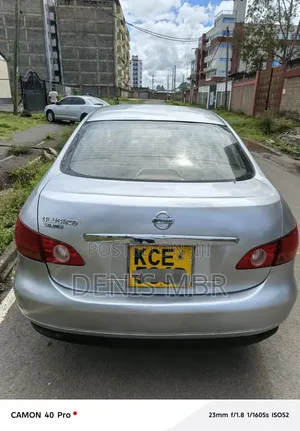 Nissan Sylphy 2010 Gray