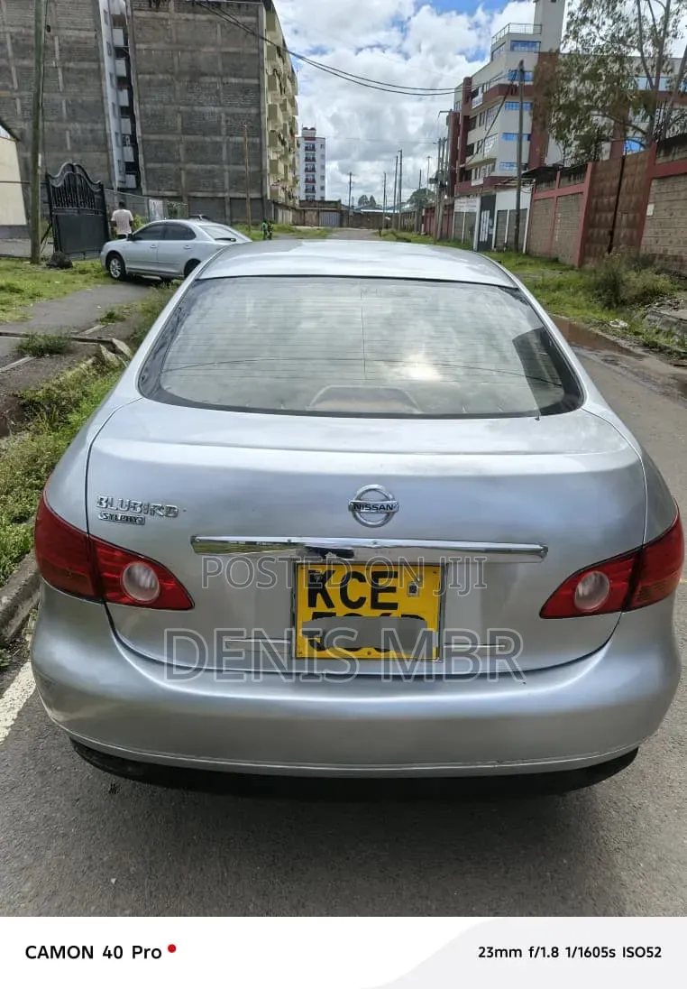 Nissan Sylphy 2010 Gray