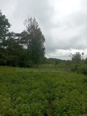 1 Acre Land for Sale in Matasia, Ngong.