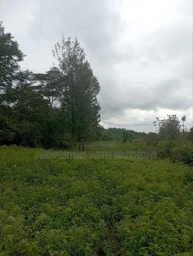 1 Acre Land for Sale in Matasia, Ngong. - thumbnail 3