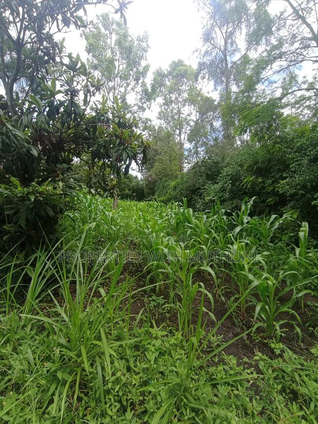 1 Acre Land for Sale in Matasia, Ngong. - thumbnail 4