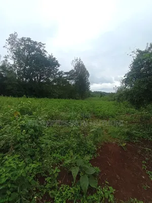 1 Acre Land for Sale in Matasia, Ngong.