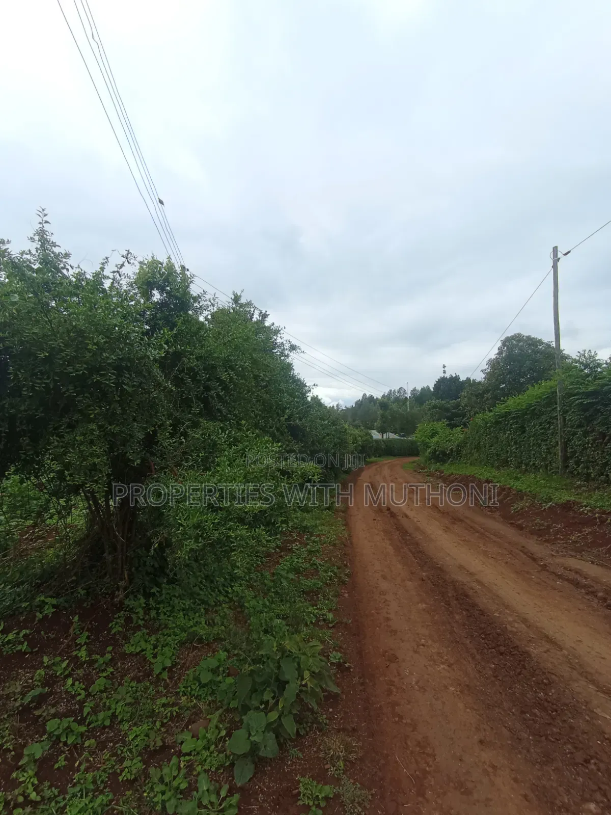 1 Acre Land for Sale in Matasia, Ngong.