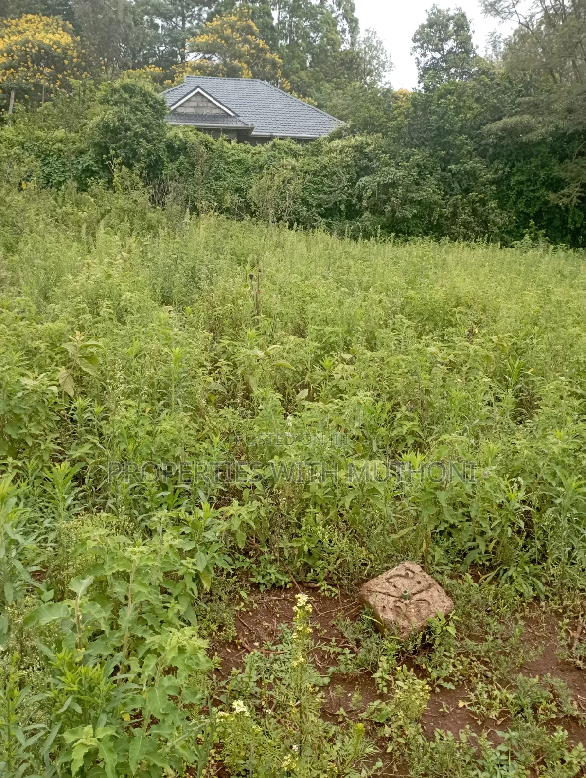 1 Acre Land for Sale in Matasia, Ngong.