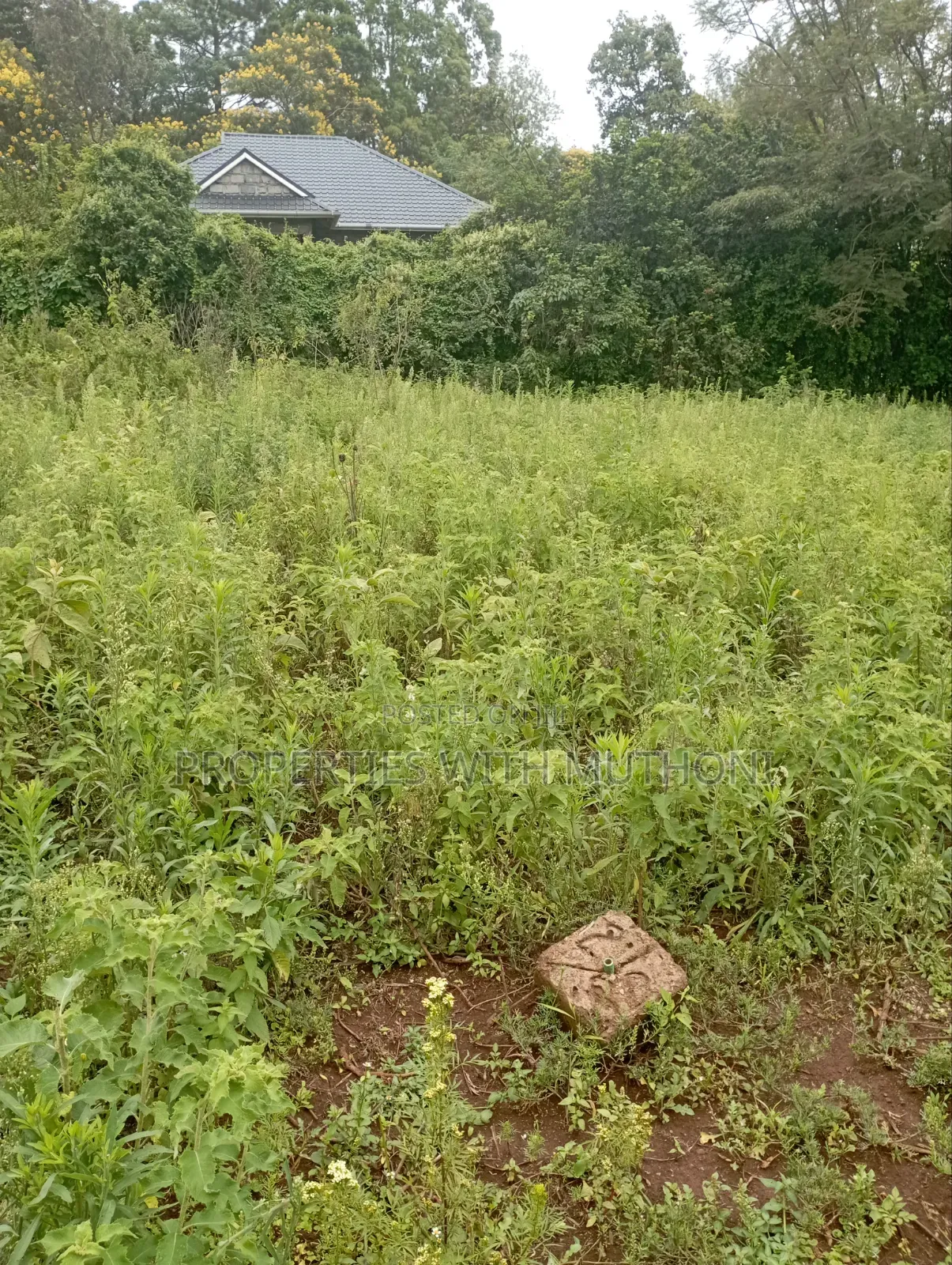 1 Acre Land for Sale in Matasia, Ngong.