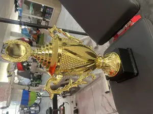 Big Award Trophies