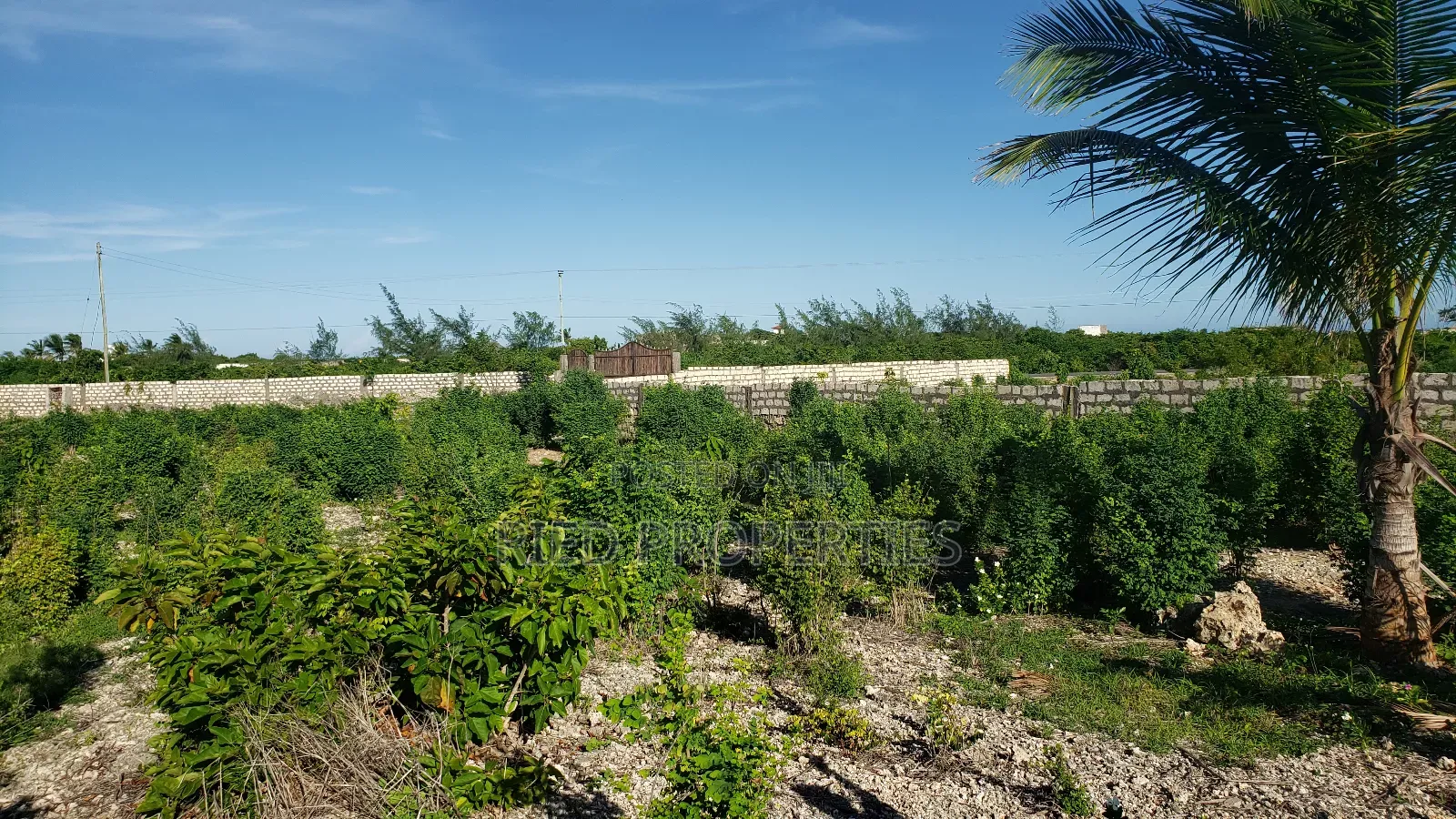 1 Acre Along a Tarmac Road in Watamu for Sale