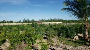 1 Acre Along a Tarmac Road in Watamu for Sale