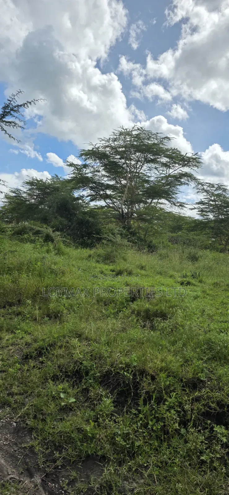 10 Acres Touching Tarmac Isinya on Quick Sale.