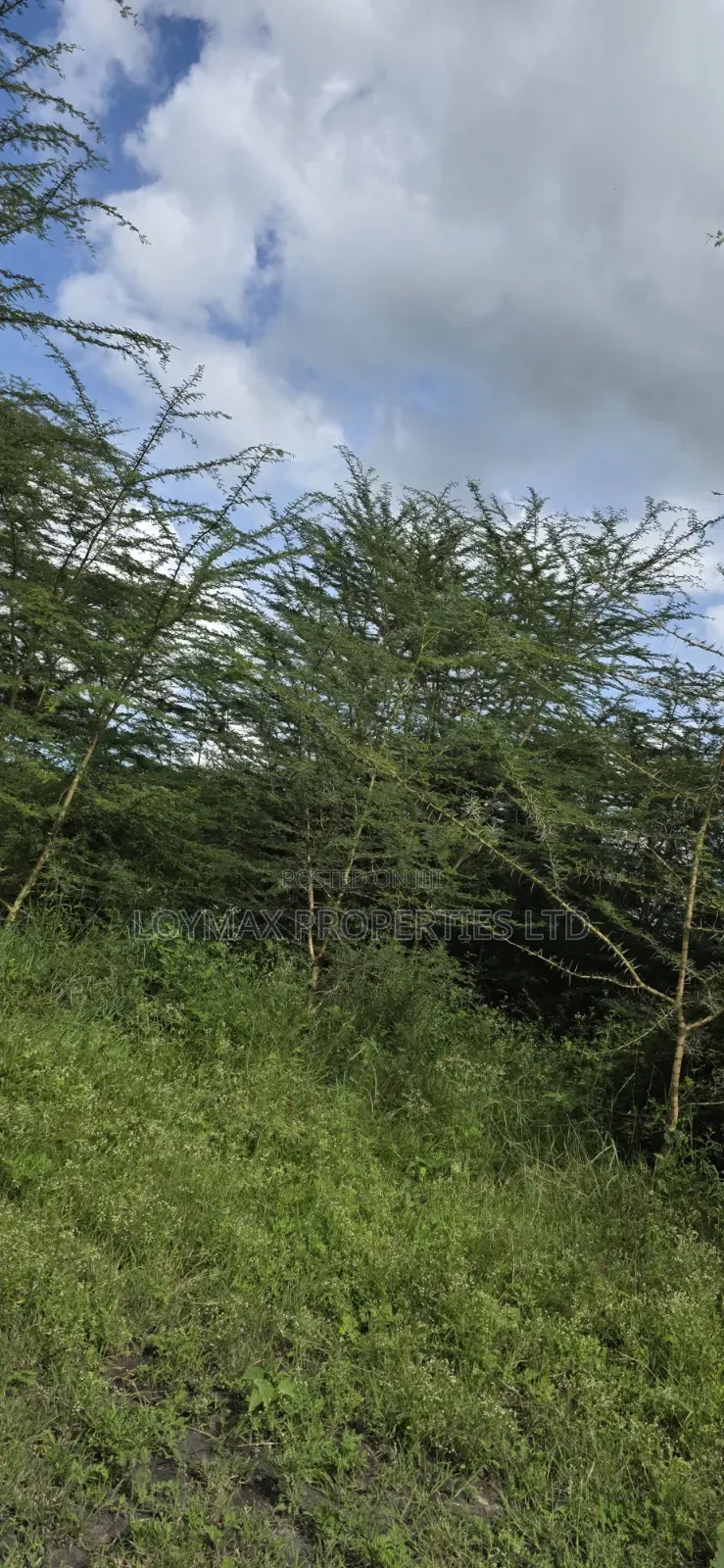 10 Acres Touching Tarmac Isinya on Quick Sale.