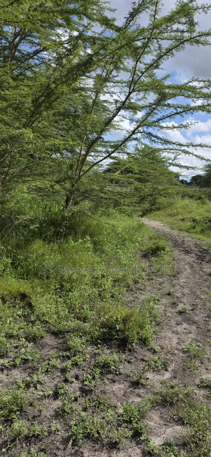 10 Acres Touching Tarmac Isinya on Quick Sale.