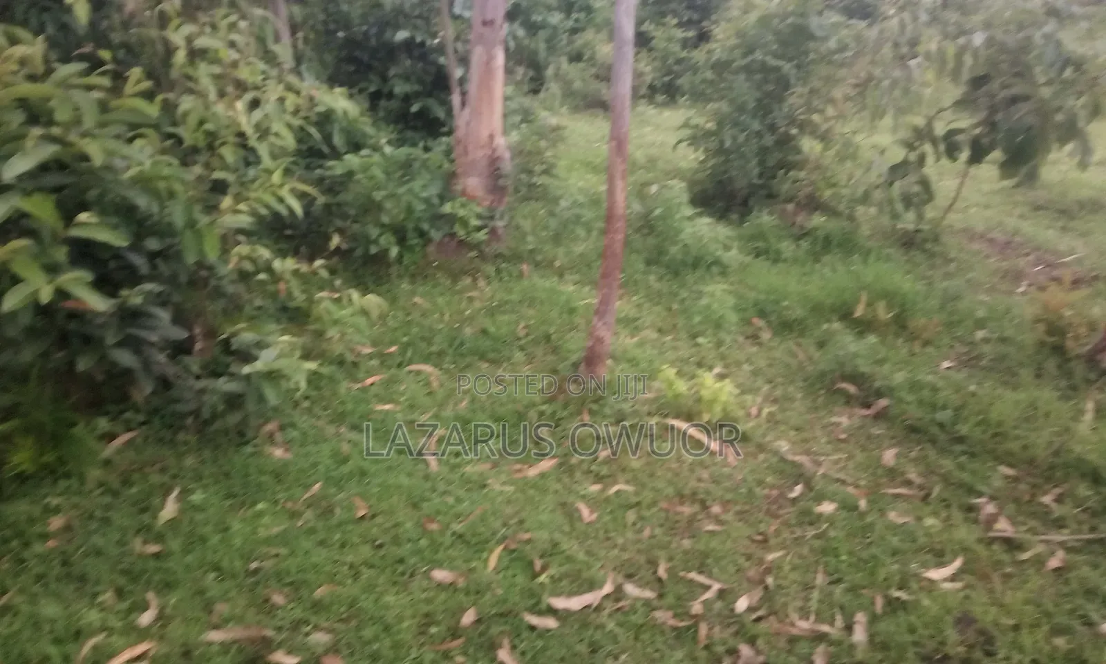 Land for Sale
