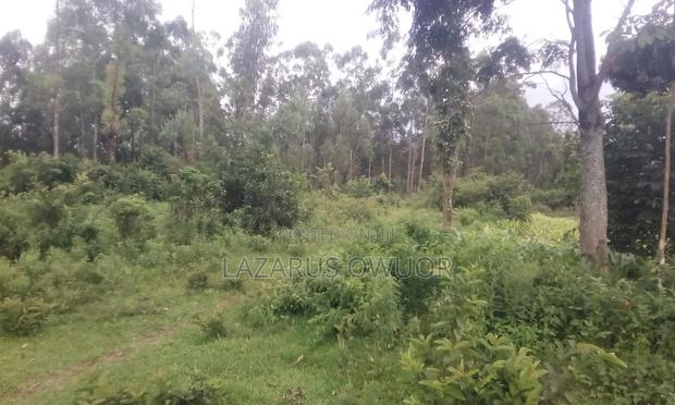 Land for Sale - thumbnail 4