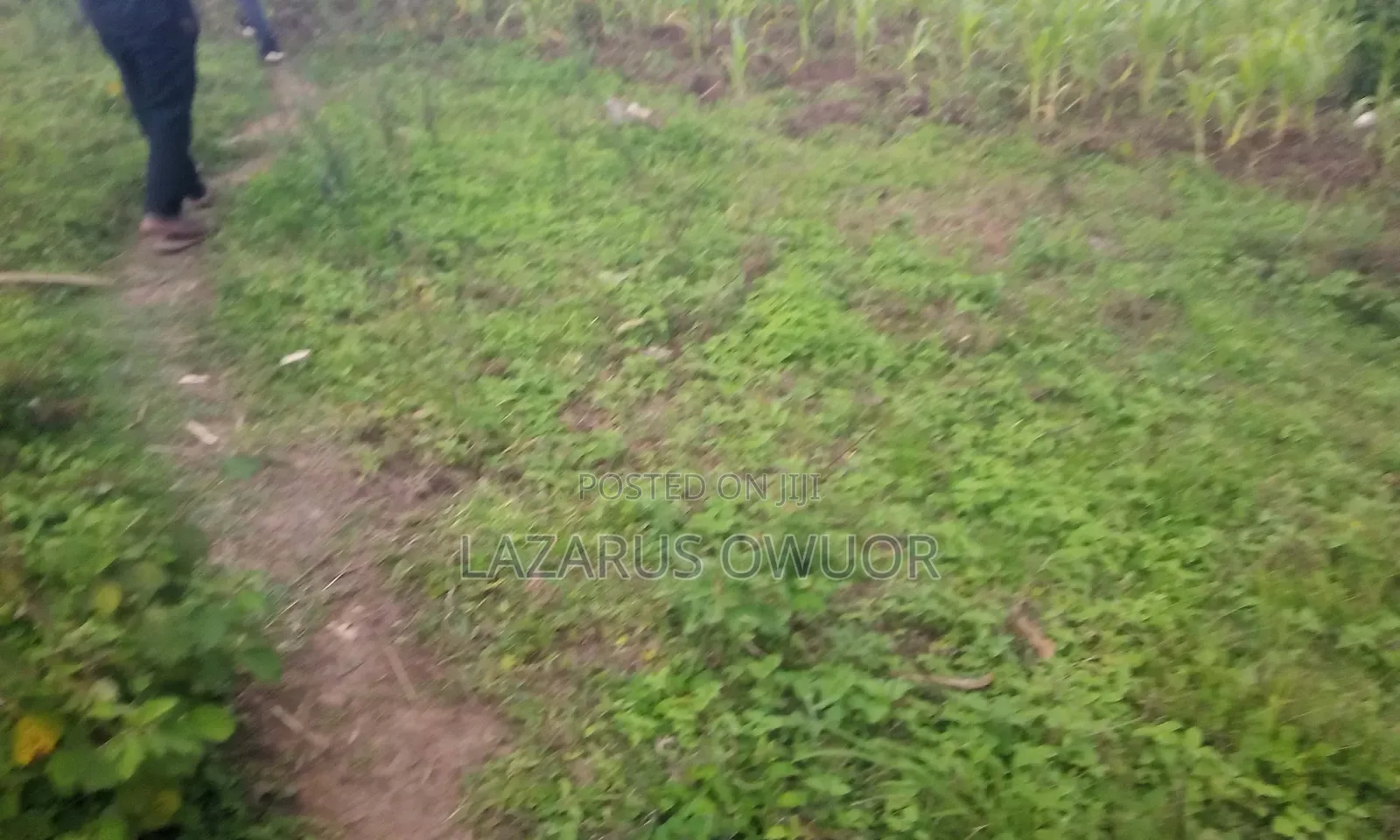 Land for Sale