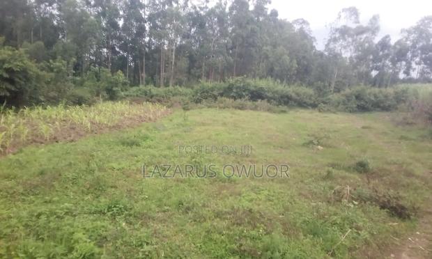 Land for Sale - thumbnail 9