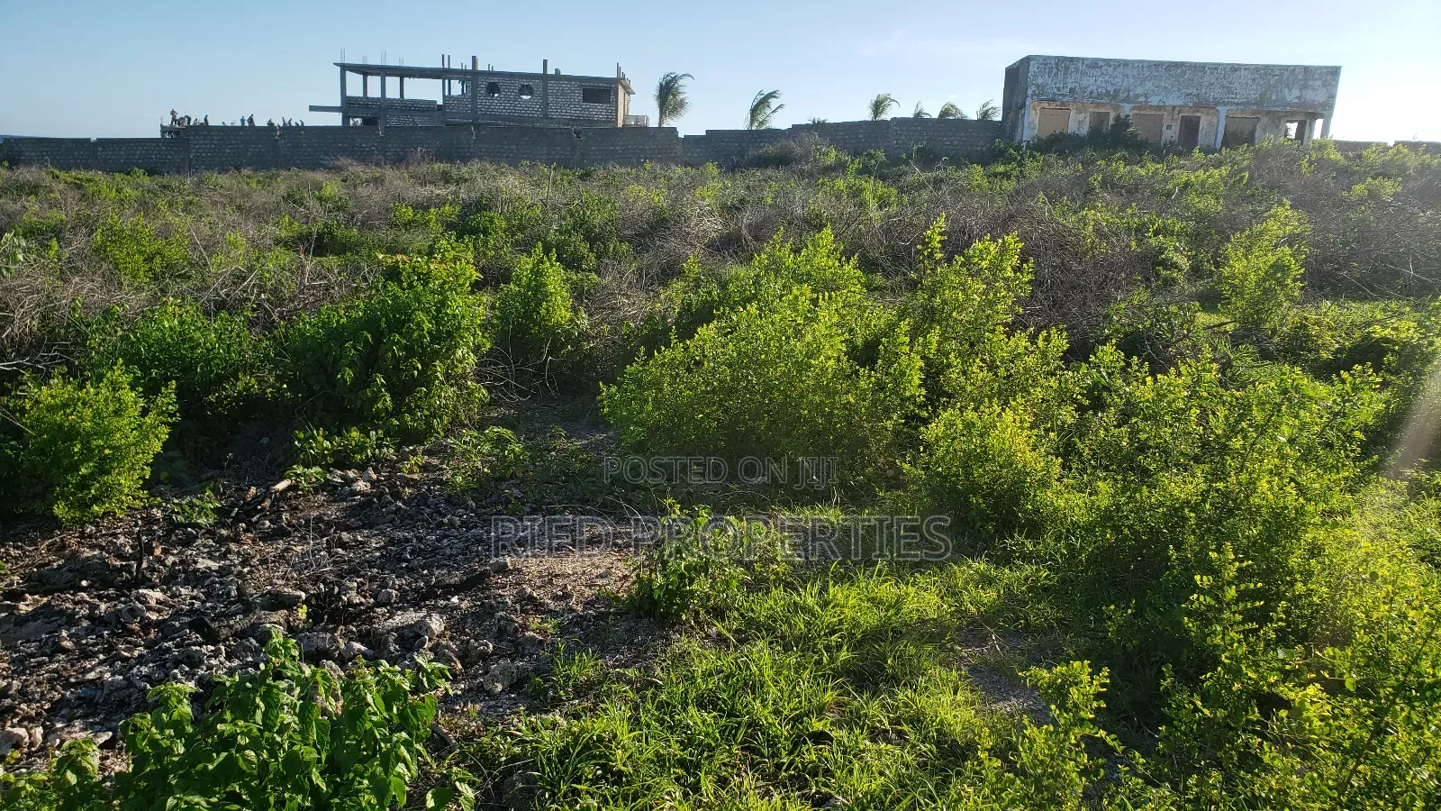 2 Acres Beachfront in Watamu for Sale