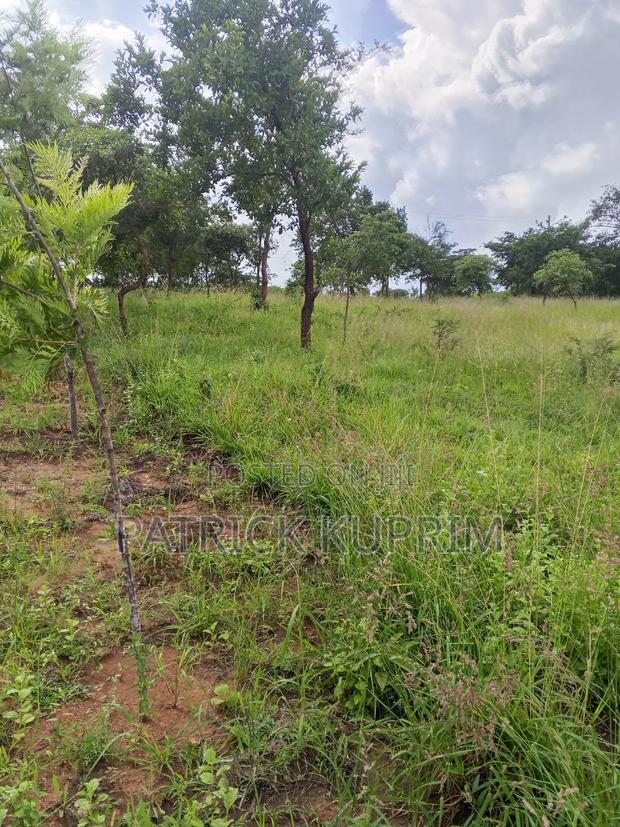 Prime Land for Sale 10 Acres - thumbnail 2