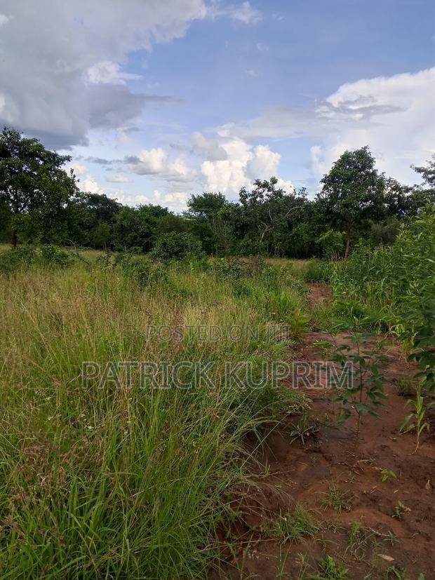 Prime Land for Sale 10 Acres - thumbnail 3