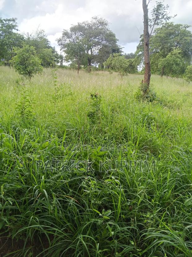 Prime Land for Sale 10 Acres - thumbnail 4