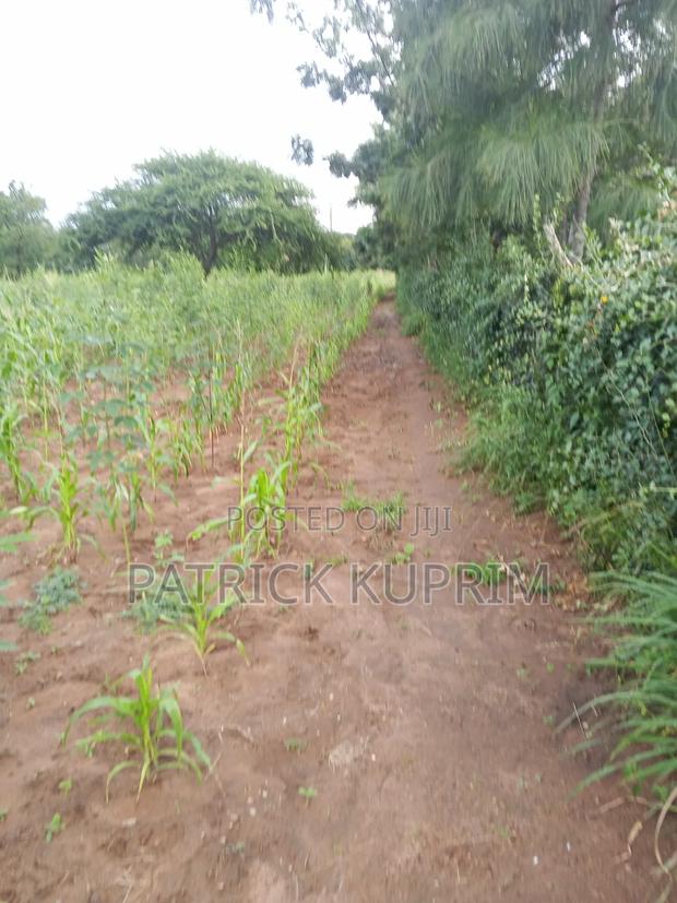 Prime Land for Sale 10 Acres - thumbnail 6
