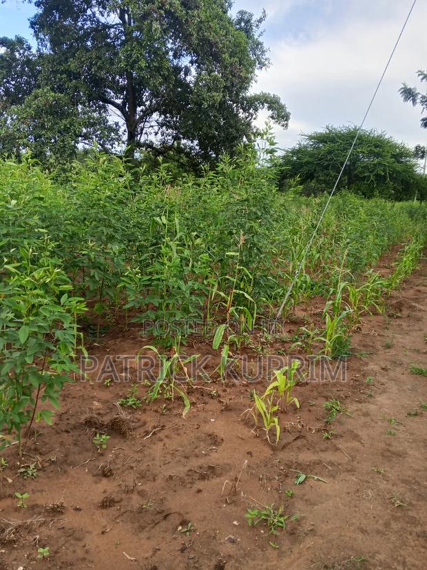 Prime Land for Sale 10 Acres - thumbnail 7