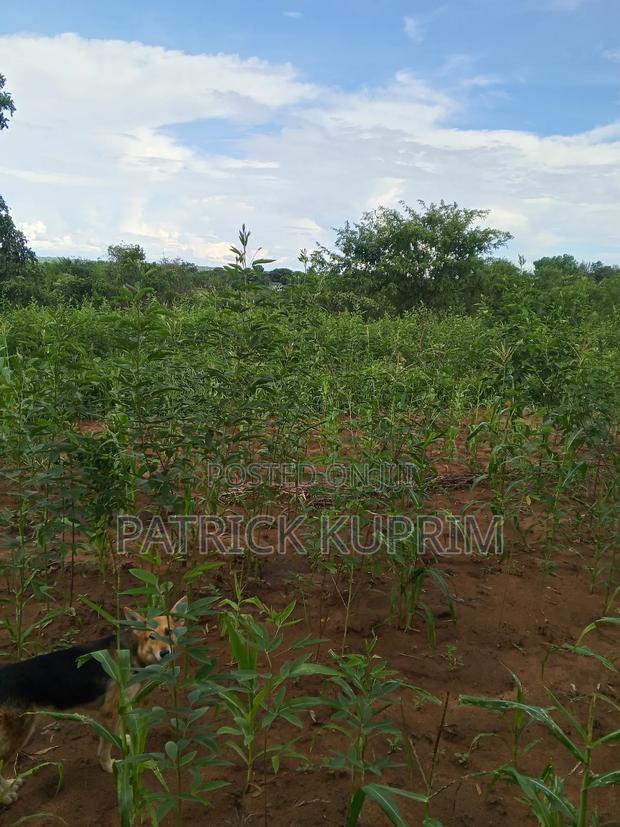 Prime Land for Sale 10 Acres - thumbnail 10