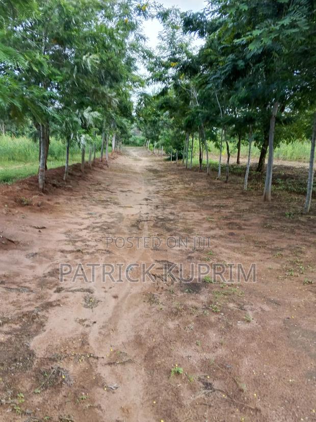 Prime Land for Sale 10 Acres - thumbnail 11