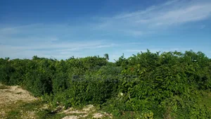 4.5 Acres Beachfront in Malindi,Watamu for Sale