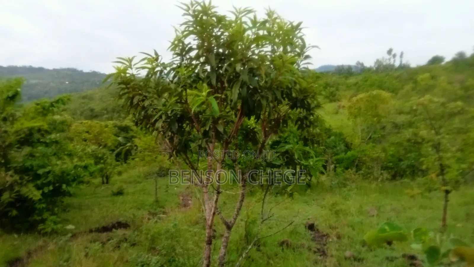 4 Acres of Land for Sale in Maragua Ridge