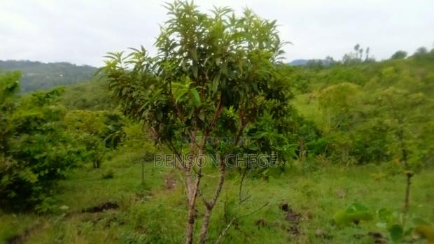 4 Acres of Land for Sale in Maragua Ridge