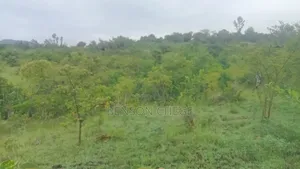 4 Acres of Land for Sale in Maragua Ridge