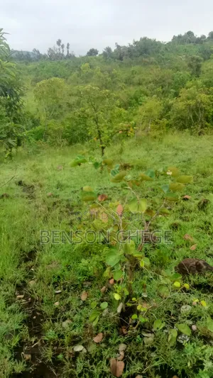 4 Acres of Land for Sale in Maragua Ridge