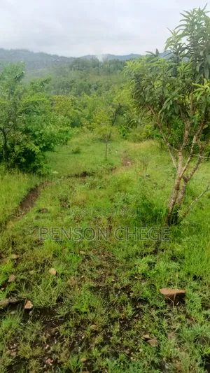 4 Acres of Land for Sale in Maragua Ridge