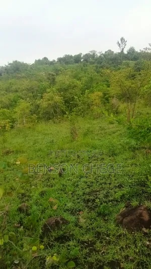 4 Acres of Land for Sale in Maragua Ridge