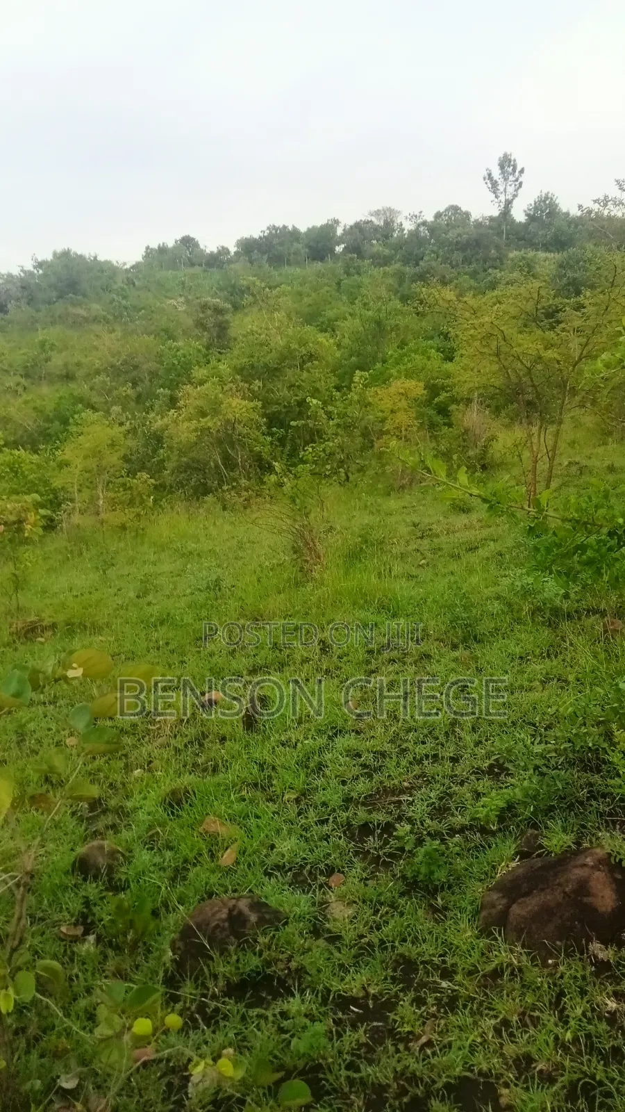 4 Acres of Land for Sale in Maragua Ridge