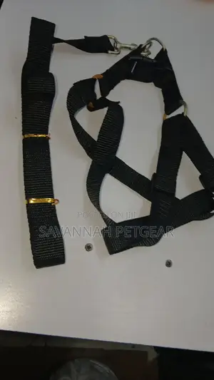 Hands Free Design Dog Harness and Leash Free Collar