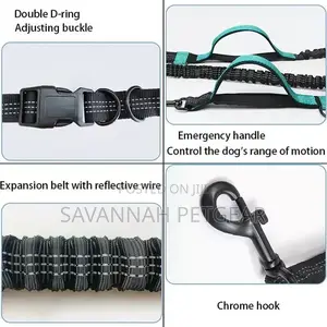 Hands Free Design Dog Harness and Leash Free Collar