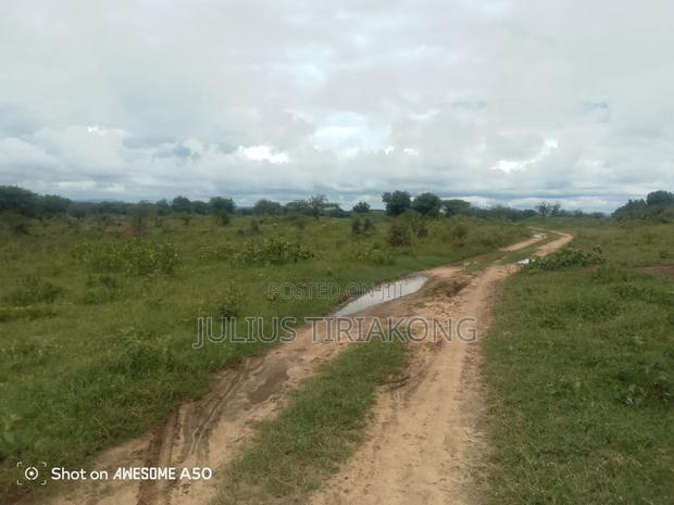 15 Acres Land for Sale