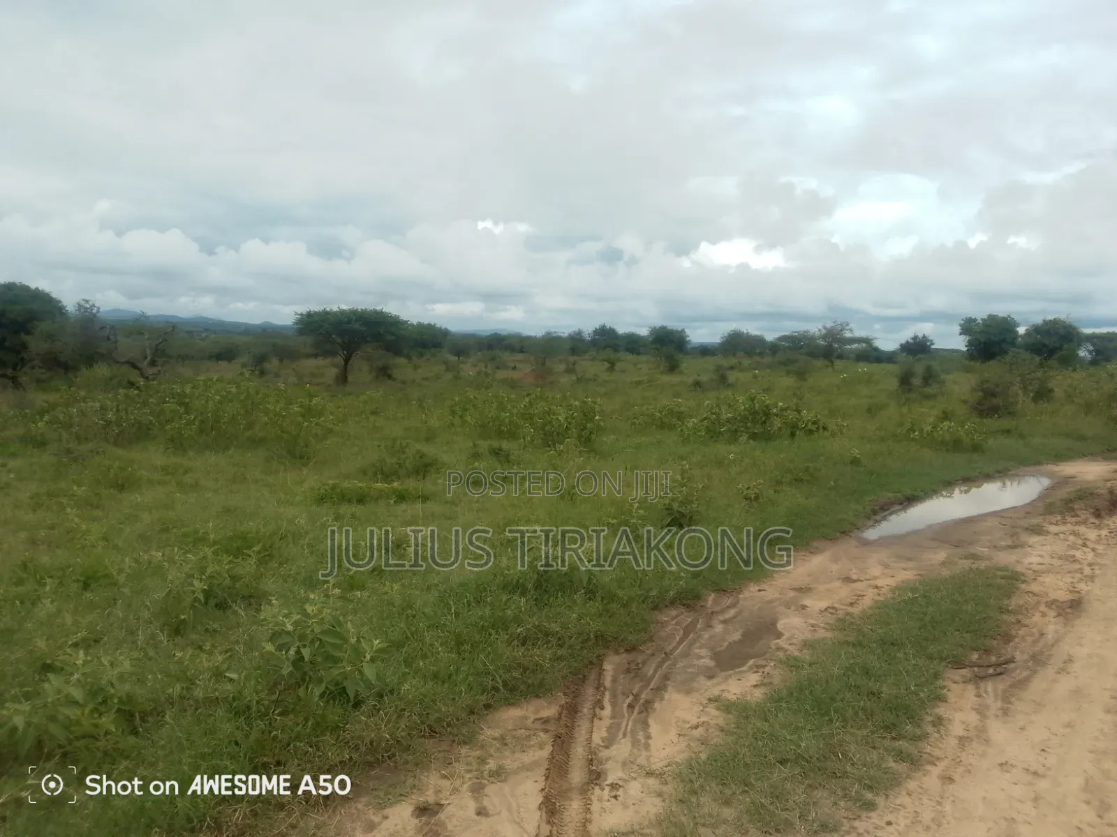 15 Acres Land for Sale