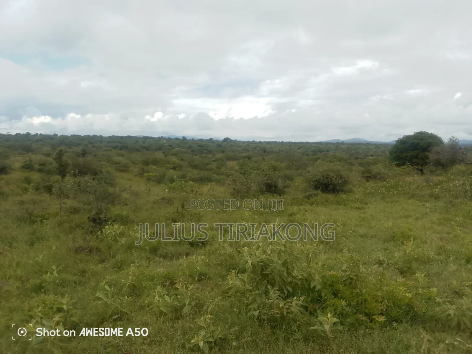15 Acres Land for Sale