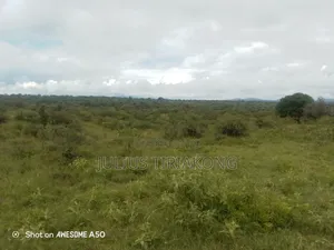 15 Acres Land for Sale
