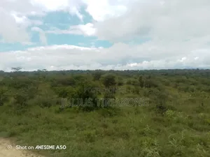 15 Acres Land for Sale