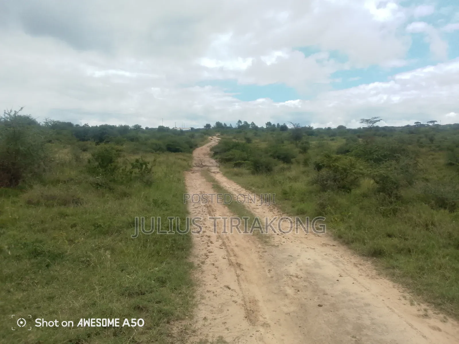 15 Acres Land for Sale