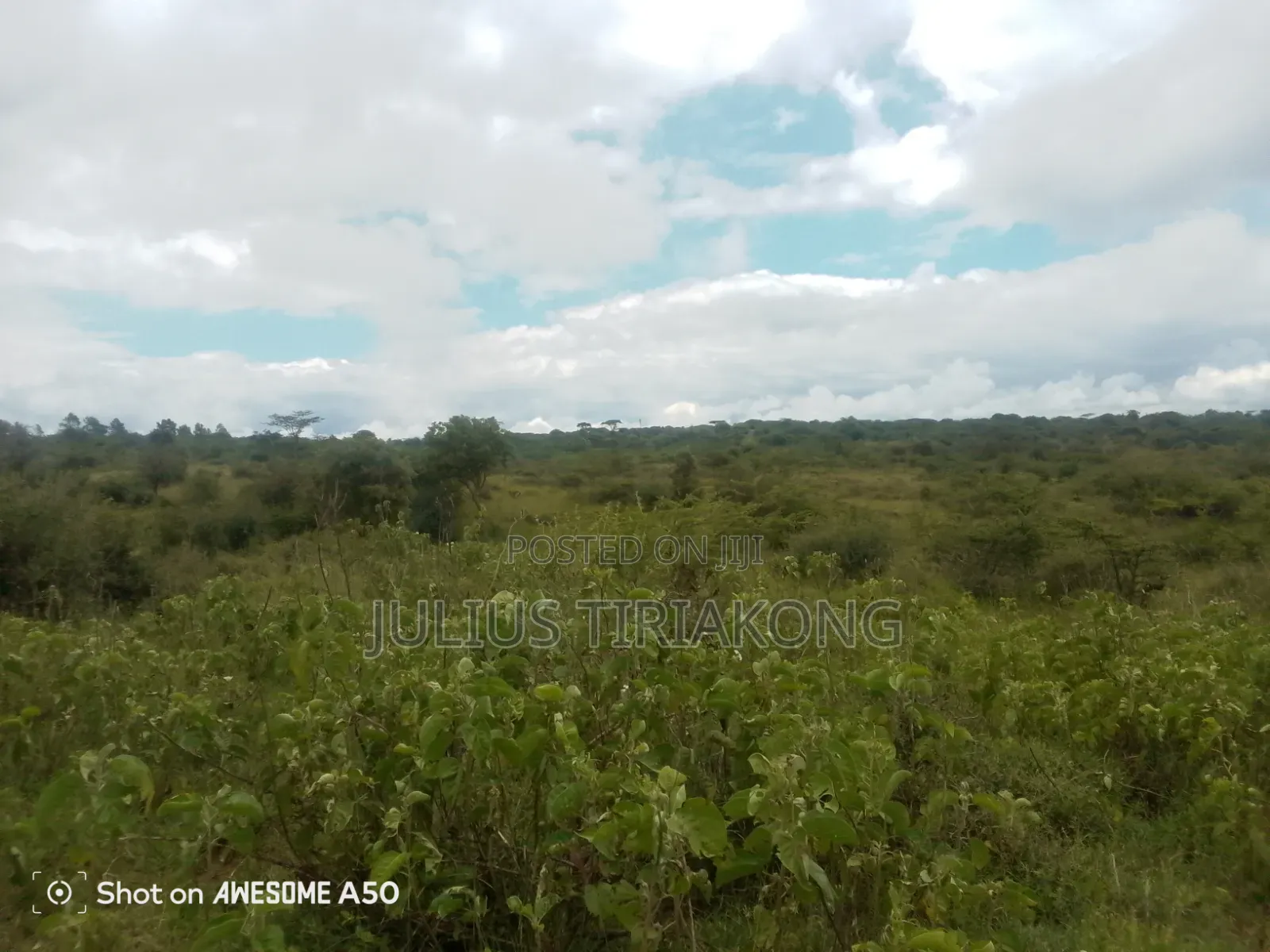 15 Acres Land for Sale