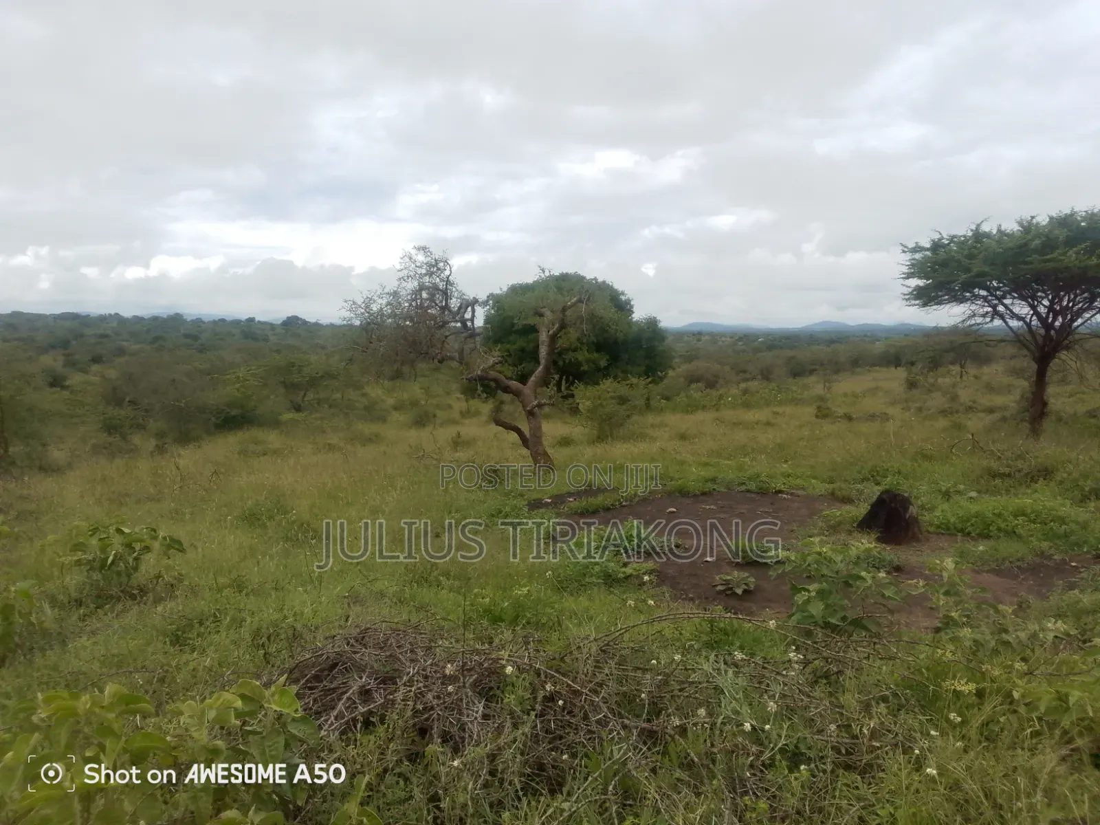 15 Acres Land for Sale