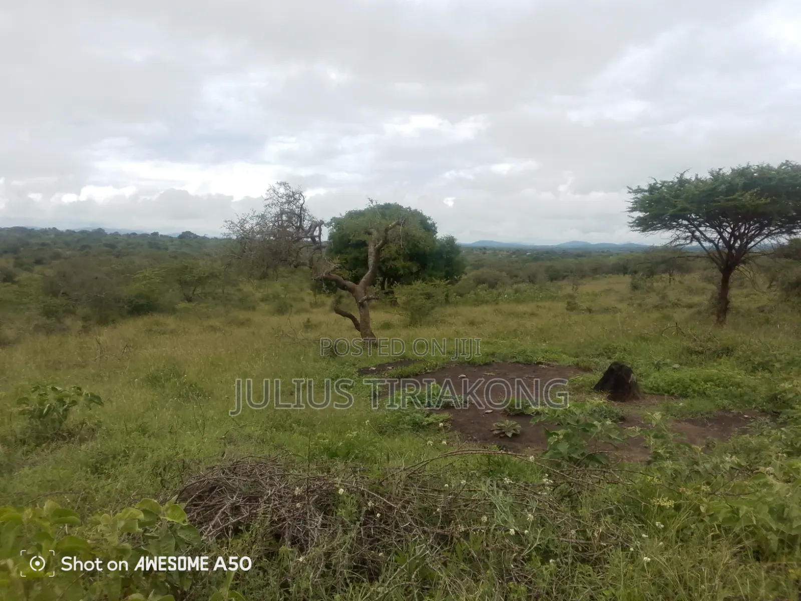 15 Acres Land for Sale