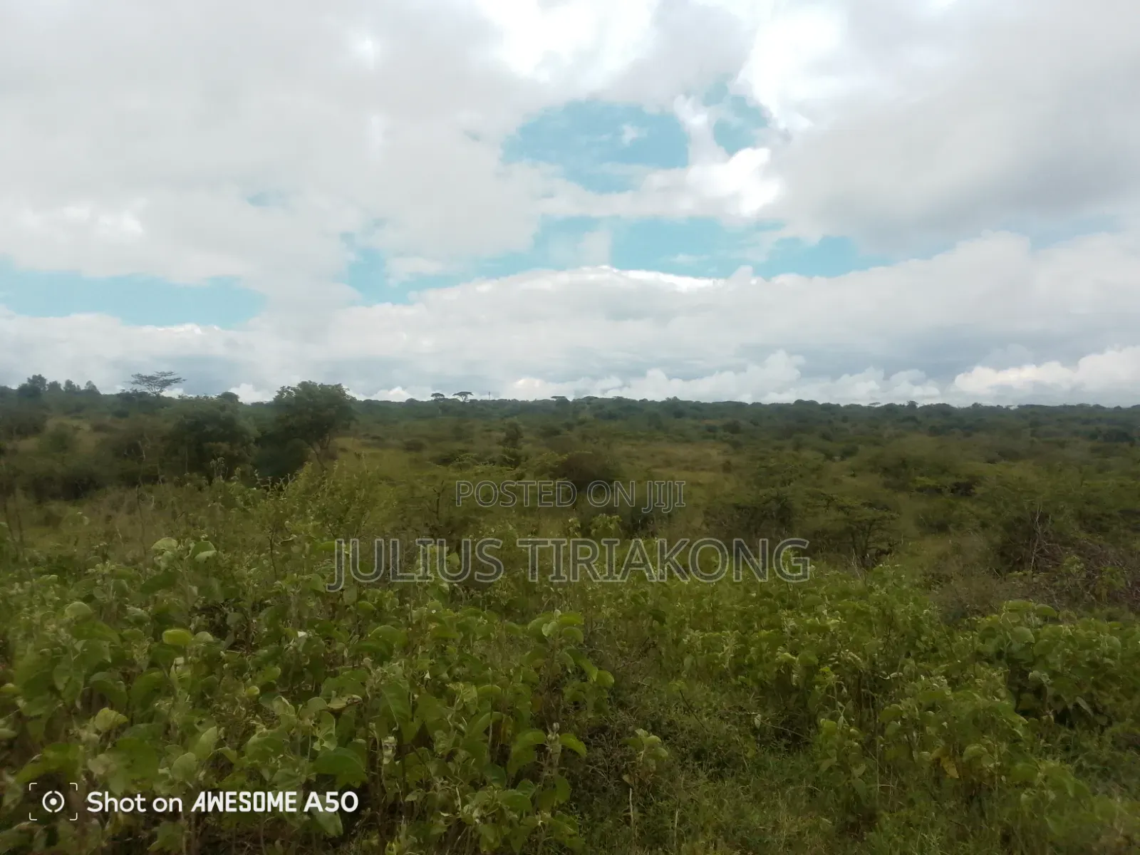 15 Acres Land for Sale